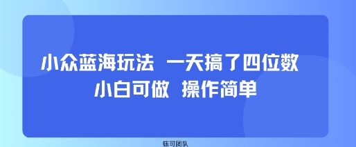 小众蓝海玩法 一天搞了四位数 小白可做 操作简单-微众资源