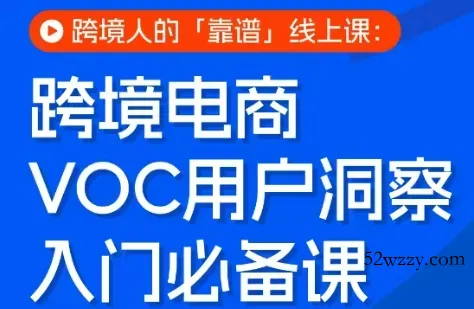 跨境电商VOC用户洞察入门必备课-微众资源