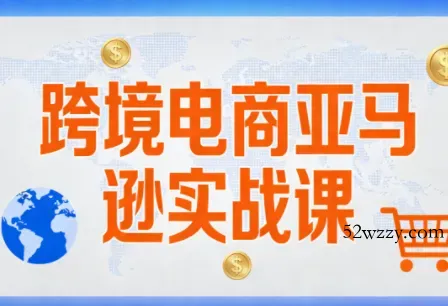 丝丝老师·跨境电商亚马逊实战课(更新2月)-微众资源