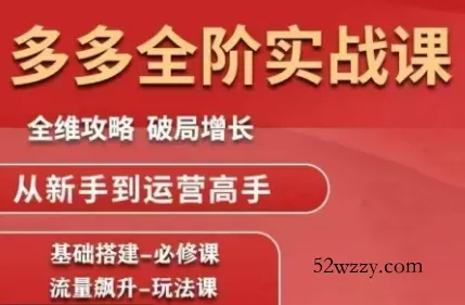 大炮·拼多多全阶实战课程(更新2026)-微众资源