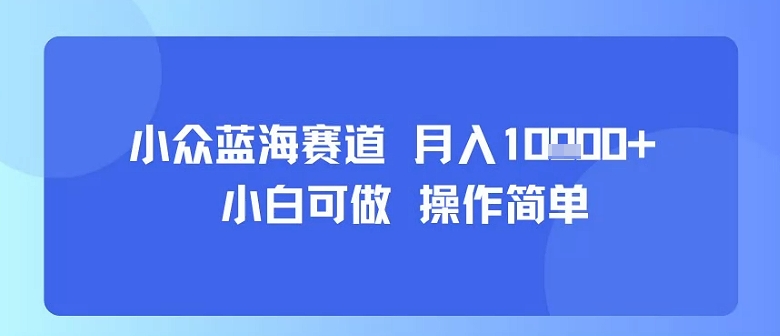 小众蓝海赛道，小白可做，操作简单，每天30分钟，月入1W+-微众资源