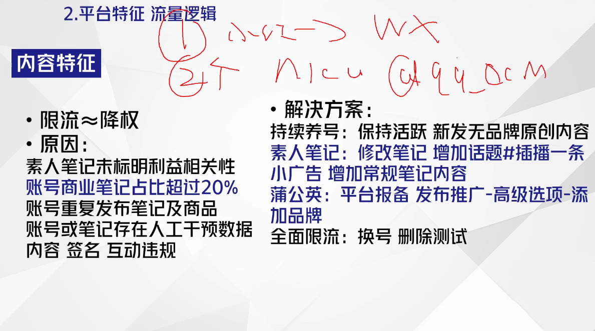 尼采老师·小红书爆单系列课-微众资源