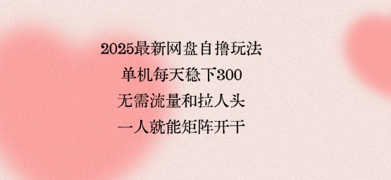 2025最新网盘自撸玩法，单机每天稳下3张，无需流量和拉人头，一个人就可轻松矩阵，全网独一份【揭秘】-微众资源