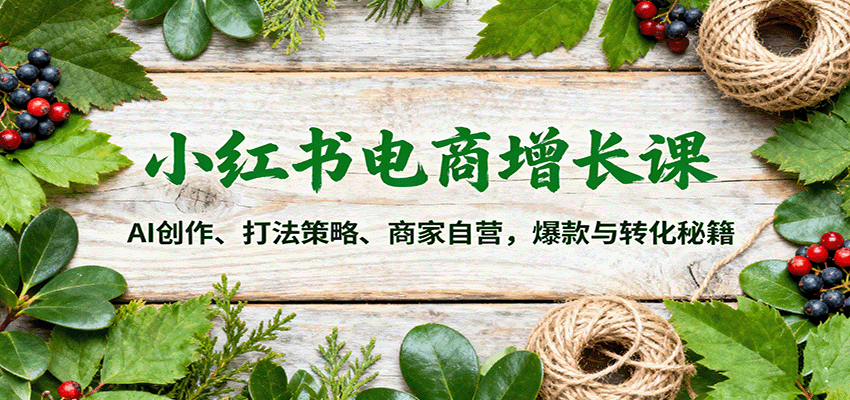 小红书电商增长课：AI创作、打法策略、商家自营，爆款与转化秘籍-微众资源
