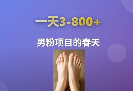 AI一键生成美女素材，一天收益3-8张，男粉项目的春天-微众资源