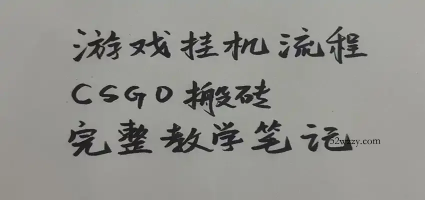游戏挂机全流程笔记分享，CSGO游戏搬砖，小白看了当天学会见收益-微众资源