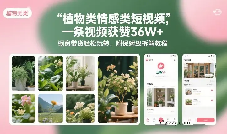 植物类情感类短视频，一条视频获赞36W+，橱窗带货轻松玩转，附保姆级拆解教程-微众资源