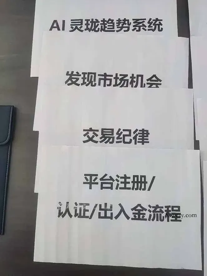 图片[3]-海外美金AI掘金项目，200U可入门槛，一天一单即可，每天1000-2000很轻松！-微众资源