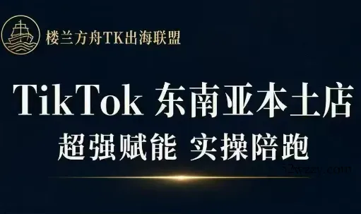 三叔·TikTok东南亚本土店实操(更5月)-微众资源