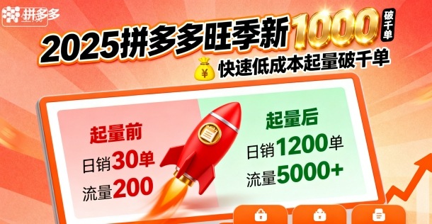 2025拼多多旺季新老店铺——快速低成本起量破千单-微众资源