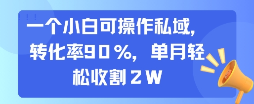 一个小白可操作私域，转化率90%，单月轻松收割2W-微众资源