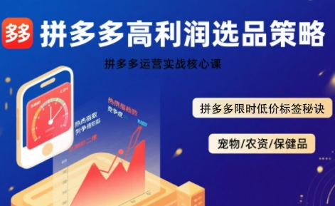 拼多多选品暴利技术实战课，拼多多高利润选品策略，拼多多限时低价标签秘诀-微众资源