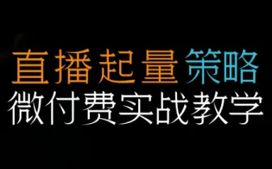 半野老师·直播带货起量与微付费必学课视频号-微众资源