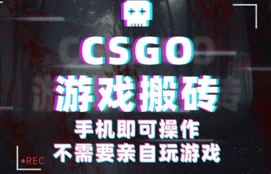 CSGO游戏挂G捡漏，单日扫货5张+，年底小高峰上车可吃肉，手机即可操作，兼职副业创业网创【揭秘】-微众资源