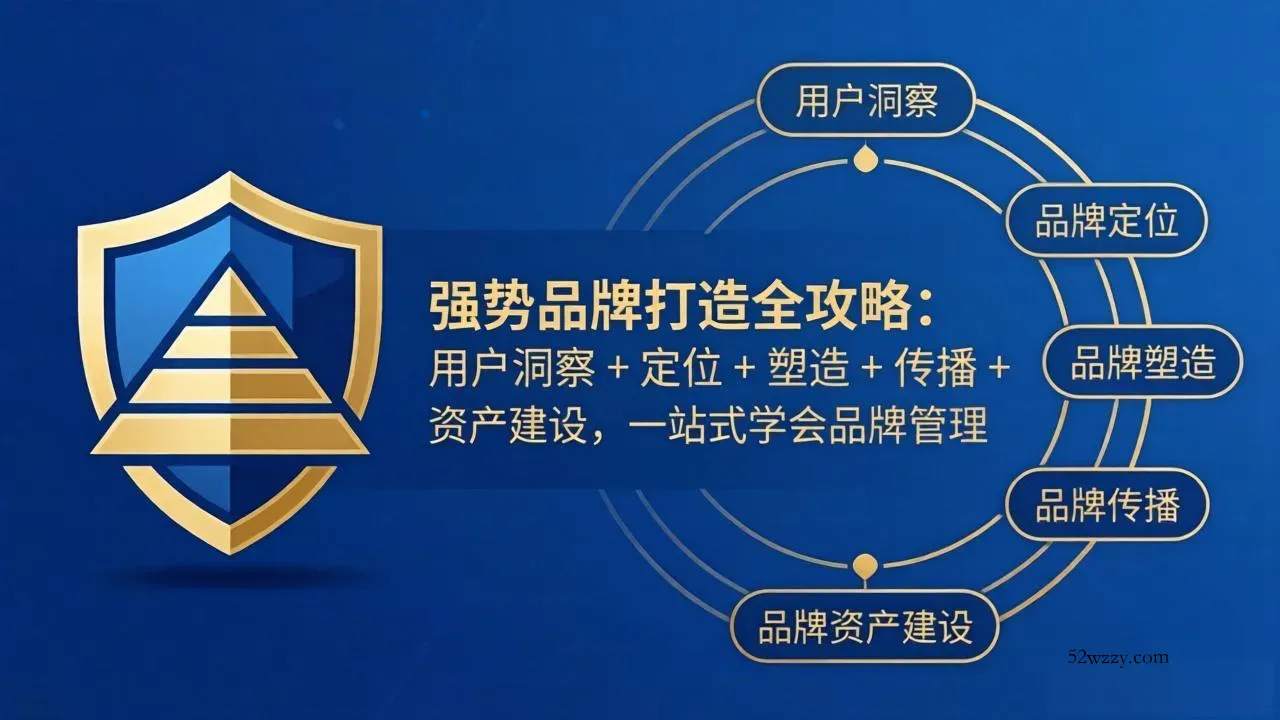 强势品牌打造全攻略：用户洞察 + 定位 + 塑造 + 传播 + 资产建设，一站式学会品牌管理-微众资源