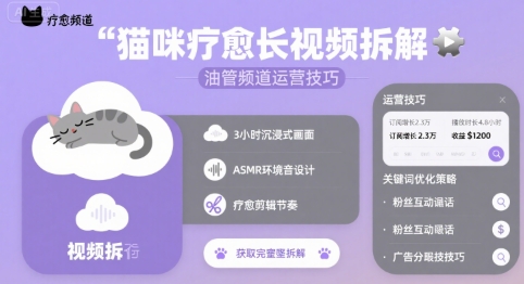 猫咪疗愈长视频拆解 &油管频道运营技巧-微众资源