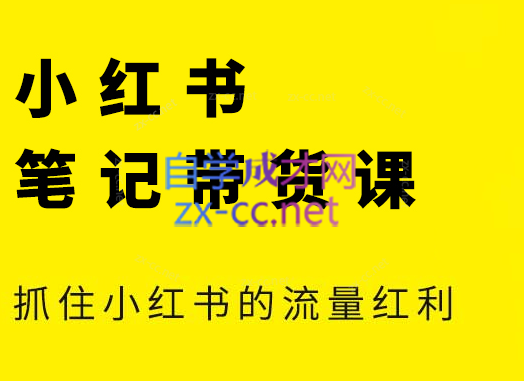 张宾·小红书笔记带货课(更新9月)-微众资源
