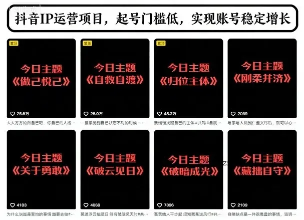 抖音IP运营项目，抖音今日主题玩法，起号门槛低，实现账号稳定增长-微众资源
