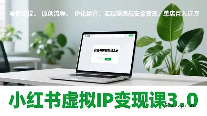 小红书虚拟IP变现课3.0，赛道定位、原创流程、IP化运营，实现零违规安全变现，单店月入过万-微众资源