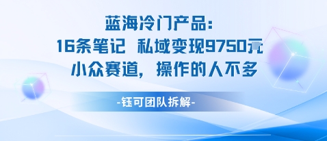 蓝海项目：16条笔记私域变现9750米小众赛道操作的人不多-微众资源
