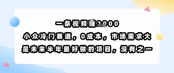 一条视频挣1k，小众冷门赛道，0成本，市场需求大，是未来半年最好做的项目，没有之一-微众资源