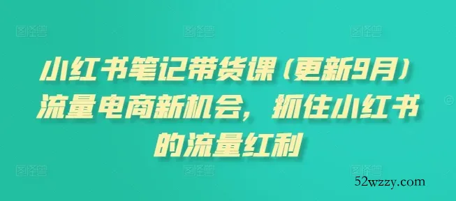 小红书笔记带货课，流量电商新机会，抓住小红书的流量红利(更新26年2月)-微众资源