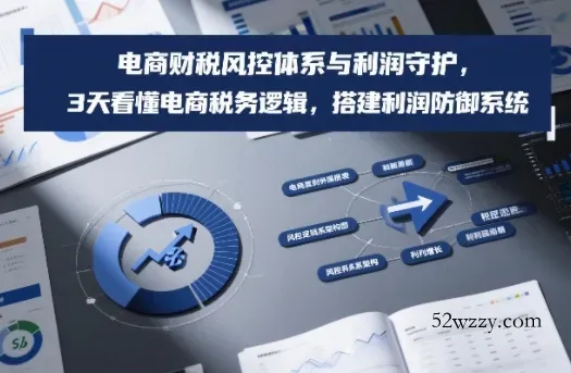 电商财税风控体系与利润守护，3天看懂电商税务逻辑，搭建利润防御系统-微众资源