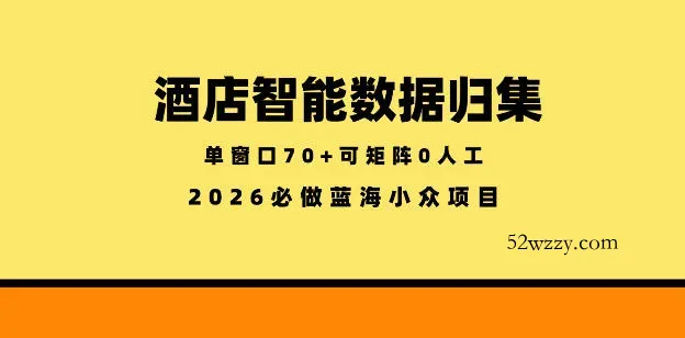 酒店智能数据归集，小众蓝海已经稳定半年之久，单窗口70+零成本矩阵开干【揭秘】-微众资源