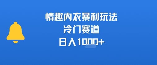 情趣内衣暴利玩法，冷门赛道，日入1k+-微众资源