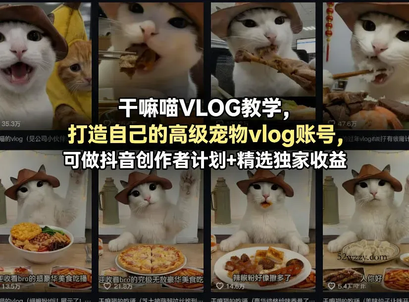 干嘛喵VLOG教学，打造自己的高级宠物vlog账号，可做抖音创作者计划+精选独家收益-微众资源