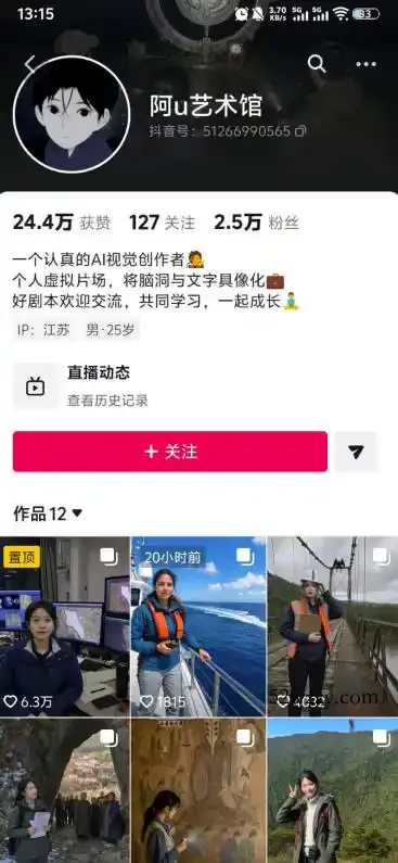 外面卖188的AI伪记录片掘金全攻略，抖音图文新赛道，轻松涨粉变现，拿创作者伙伴计划收益【文档】