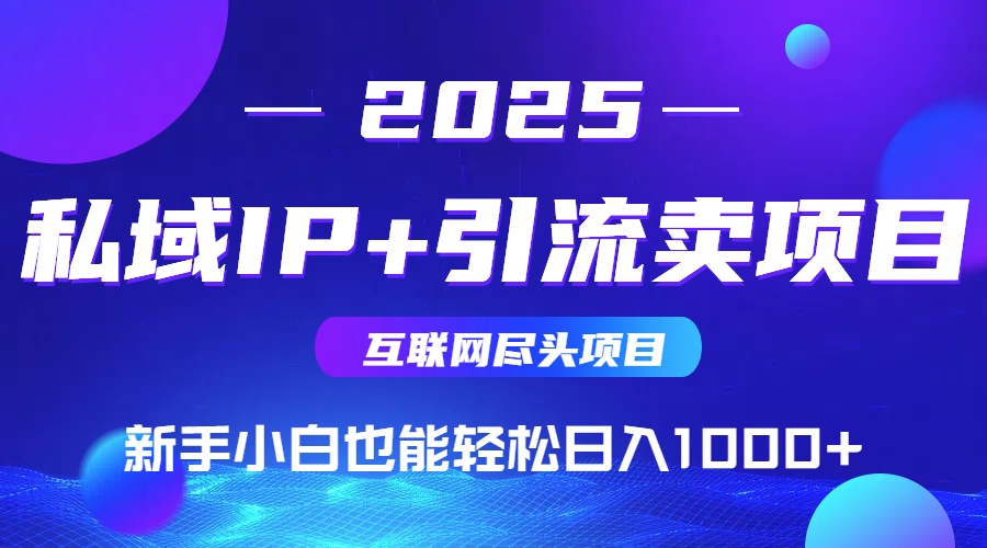 2025网创尽头项目，私域IP+引流，新手小白也能在家日入1000+-微众资源