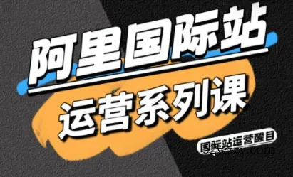 醒目老师·阿里国际站运营系列课(更新3月)-微众资源