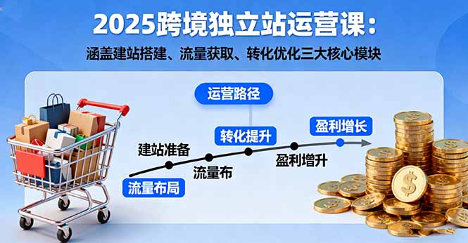 2025跨境独立站运营课：涵盖建站搭建、流量获取、转化优化三大核心模块-微众资源