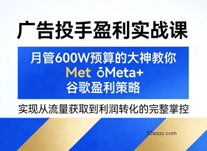 广告投手盈利实战课，月管600W预算的大神教你Meta+谷歌盈利策略，实现从流量获取到利润转化的完整掌控-微众资源
