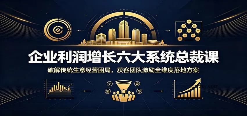 企业利润增长六大系统总裁课:破解传统生意经营困局,获客团队激励全维度落地方案-微众资源