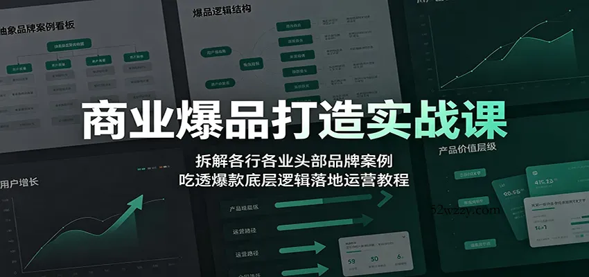 商业爆品打造实战课：拆解各行各业头部品牌案例，吃透爆款底层逻辑落地运营教程-微众资源