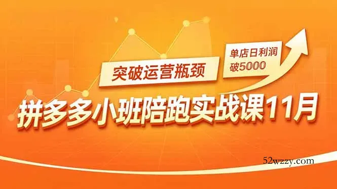 拼多多小班陪跑实战课11月,强付费矩阵、原价活动、暗券引流,突破运营瓶颈,单店日利润破5000-微众资源