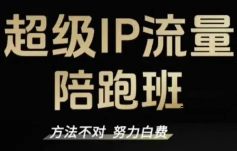 阿昱老师·超级IP流量陪跑班-微众资源