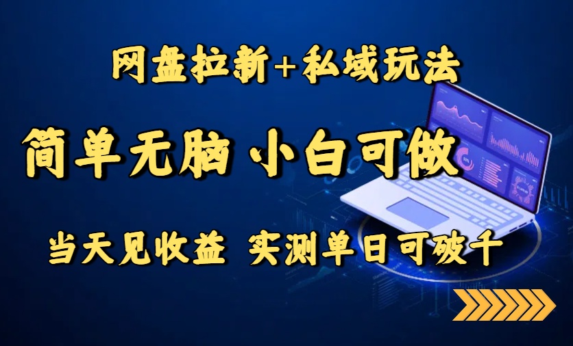 网盘拉新+私域玩法，简单无脑，小白可做，当天见收益，实测单日可破千-微众资源