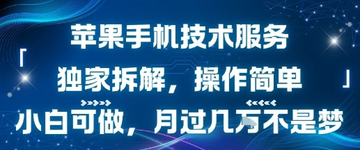 苹果手机技术服务，独家拆解，操作简单，小白可做，月过1W不是梦-微众资源