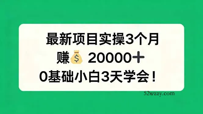 最新项目实操3个月，赚钱20000+，0基础小白3天学会！-微众资源