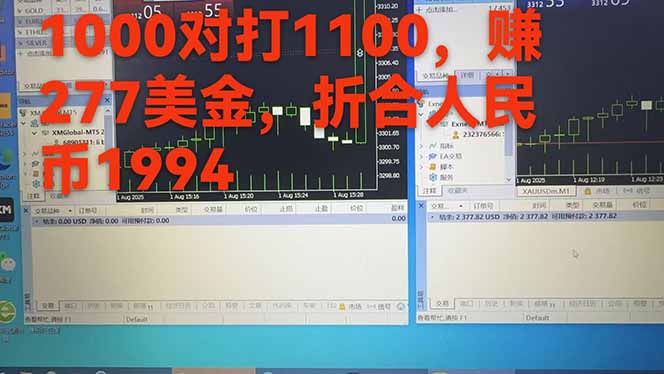 稳定8年的美刀搬砖项目，单人每日收益800—3000.团队4人月入10W+.可线下-微众资源