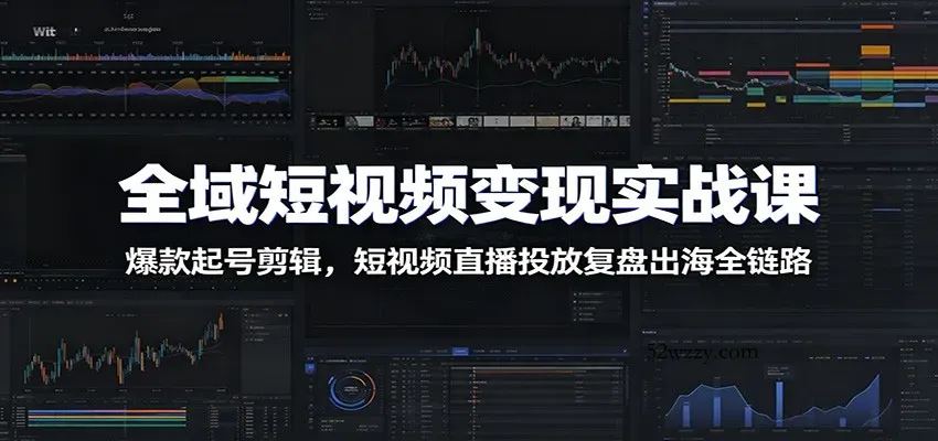 全域短视频变现实战课：爆款起号剪辑，短视频直播投放复盘出海全链路-微众资源