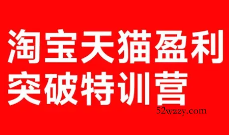 玺承·淘宝天猫盈利突破特训营(25年12月线下课)【音频+字幕】-微众资源