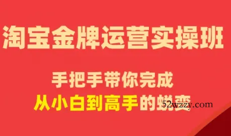 飓风电商·淘宝金牌运营实操班-微众资源