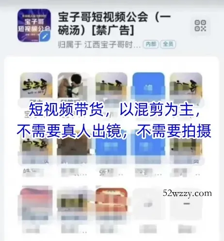 宝子哥头部团队短视频带货，以混剪为主，不需要真人出镜，不需要拍摄【更新12月】-微众资源