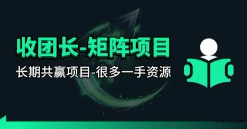 【团长合作】视频矩阵项目_招发手矩阵+剪辑师，共赢项目【揭秘】-微众资源