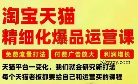 淘宝天猫精细化爆品运营课,免费流量打法-付费广告放大-利润增长-三大核心痛点,一次全部解决