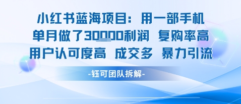 小红书蓝海项目，一部手机单月做了3W利润，小白也能月入过1W用户认可度高成交多-微众资源